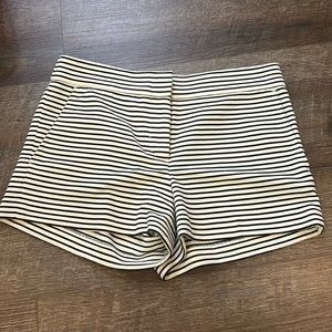 BCBGMaxzaria black cream striped shorts pristine condition size small